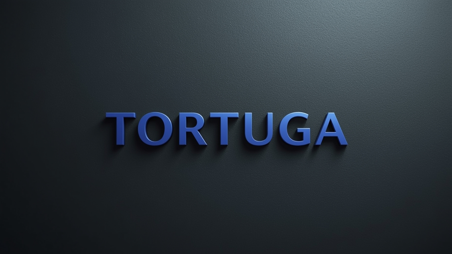 tortugacasino.shop